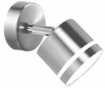 Stainless steel spotlight