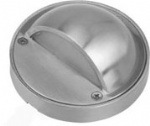Stainless steel wall light